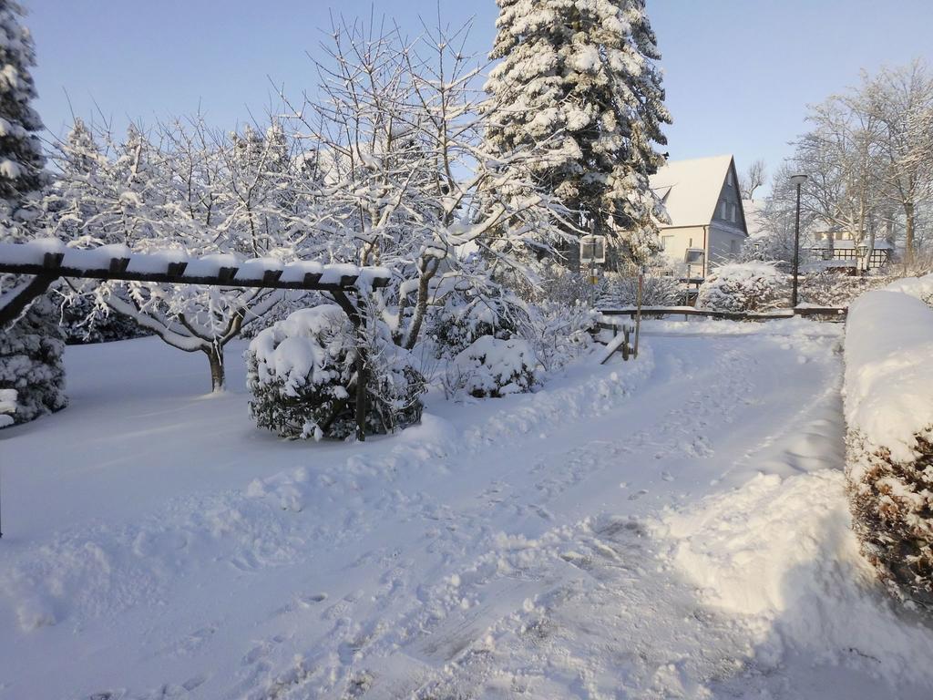 Apartment In Langewiese Sauerland With Garden ヴィンターベルク エクステリア 写真