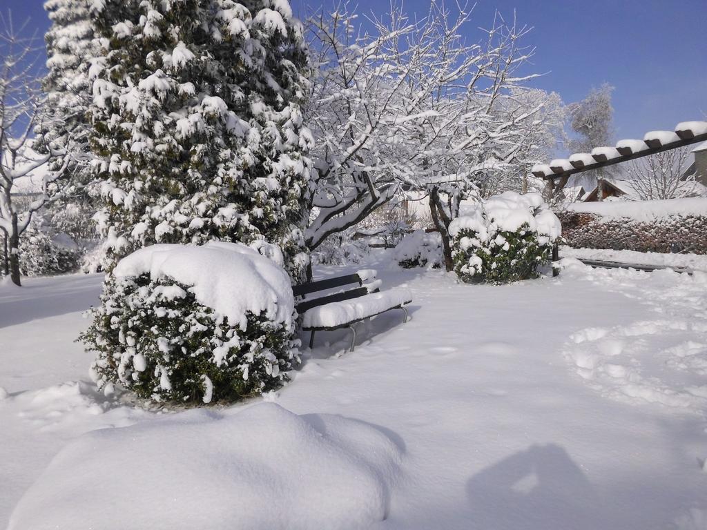 Apartment In Langewiese Sauerland With Garden ヴィンターベルク エクステリア 写真