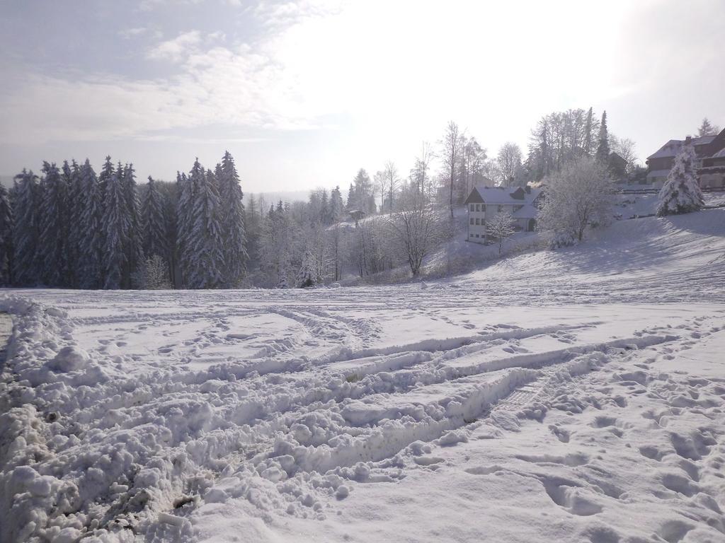 Apartment In Langewiese Sauerland With Garden ヴィンターベルク エクステリア 写真