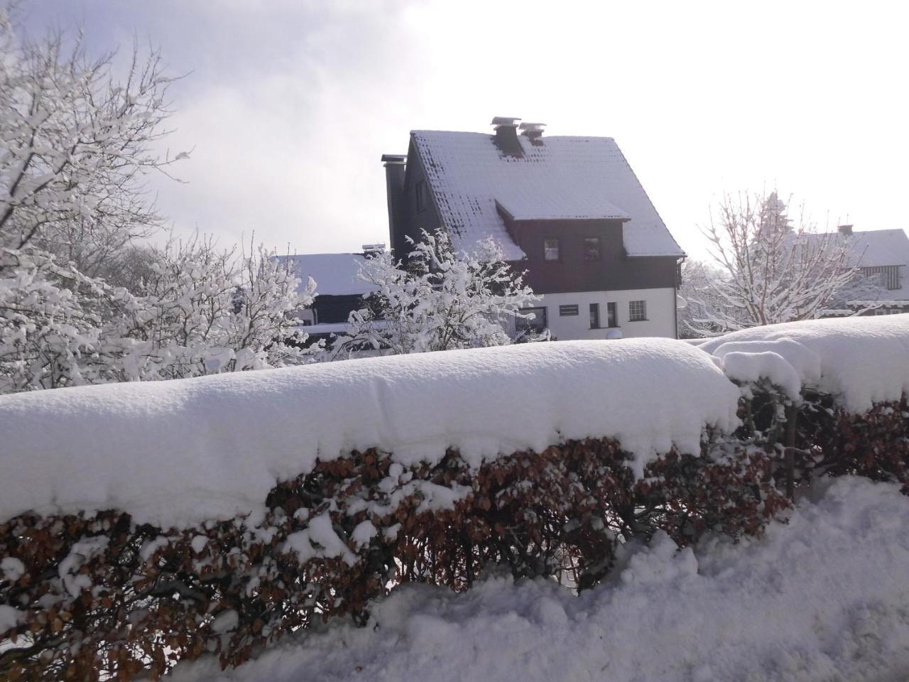 Apartment In Langewiese Sauerland With Garden ヴィンターベルク エクステリア 写真